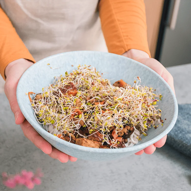 Zdravé obědy tempeh na pánvi