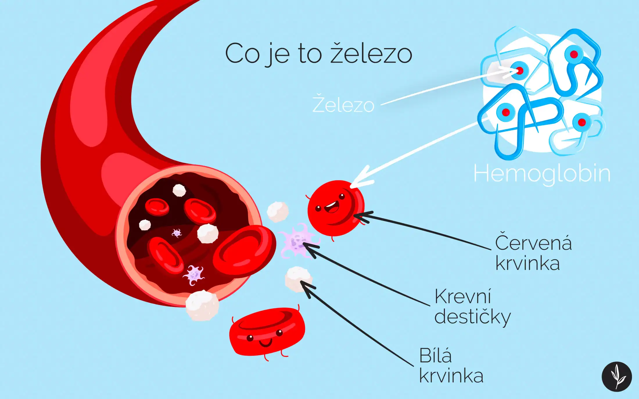 Co je to železo infografika