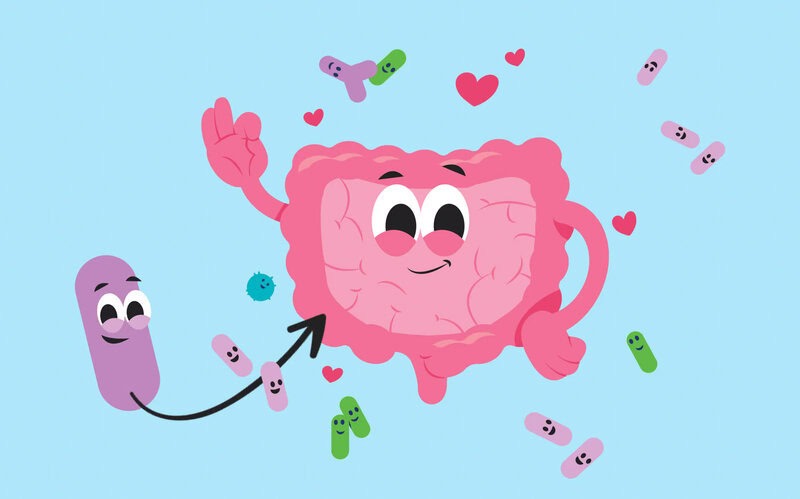 Recepty 12 Jak podporují probiotika mikrobiom – aneb kdy užívat probiotika