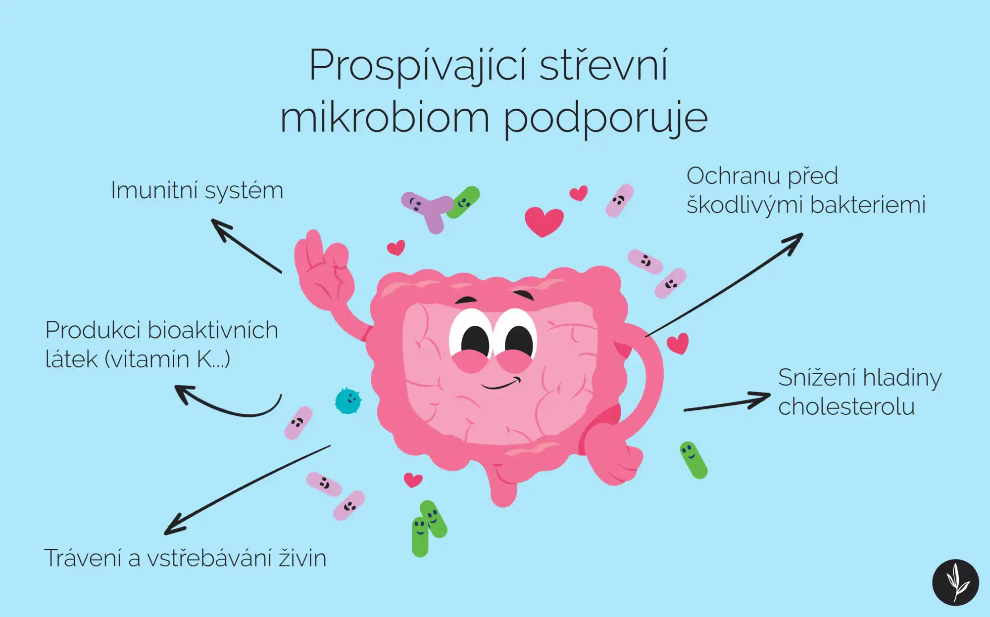 Prospívající střevní mikrobiom ovlivňuje infografika