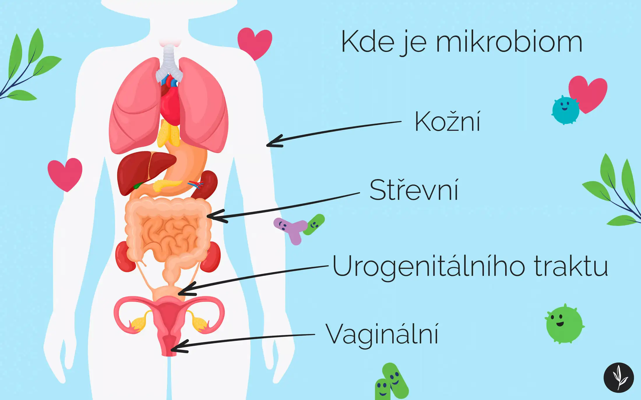 Kde je mikrobiom člověka infografika